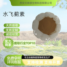 水飞蓟素99%水飞蓟提取物水溶性水飞蓟素食品级原料包邮1kg/袋