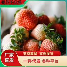 һ�����l�ļ���ݮ���ϱ����̨�Nֲ�����箔��Y�����ͼt�ݮ�N