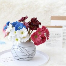 ���l���滨�羳PU���޾�6�^�o�~���ɻ�INS�L��c�S�ҼҾ��bٻ�