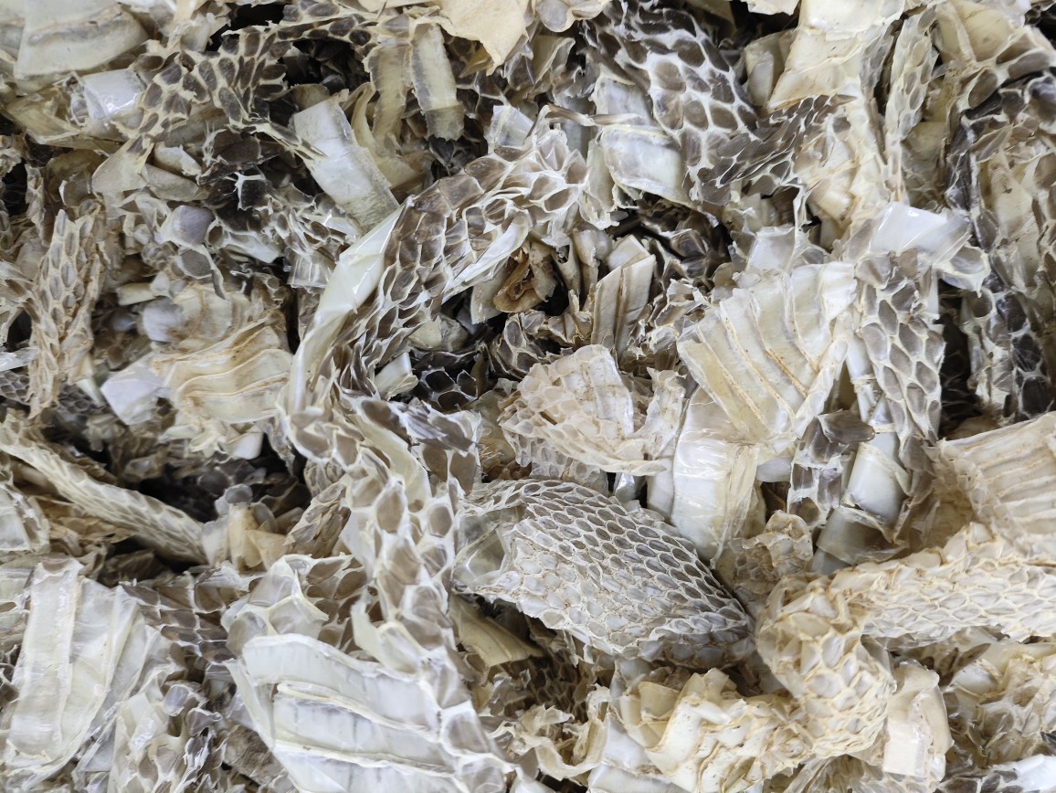 She Tui (Snake Slough) — Dried Shed Snake Skin, Traditional Chinese Herb, 500g quality and texture