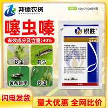 先正达锐胜 30%噻虫嗪玉米预防蓟马蚜虫跳甲拌种剂进口农药杀虫剂