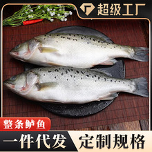 ���|�~���l�~����r����~�׽����Ǻ��R�~ˮ�a���~�������l���l