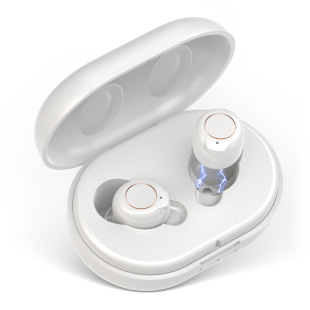 ������ �����˴���������Ŵ����|�����������hearing aids