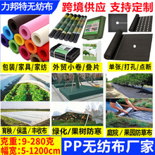 厂家跨境供应纺粘无纺布包装绿化防草布盖草地膜农业保温PP无纺布