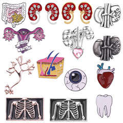 Cross-border new European and American human organ brooch, fetus, heart, lungs, eyes, capillaries pin