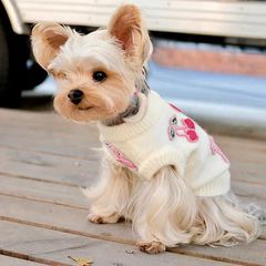 ペット犬犬猫超萌えプリンセス風さくらんぼセーター中小型ペットマルジスビー熊テディ