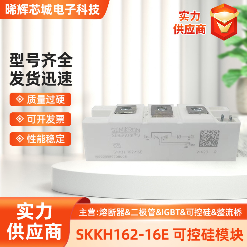 SKKH162/16E  12E  14E   18E  全新功率半导体模块 现货可直拍