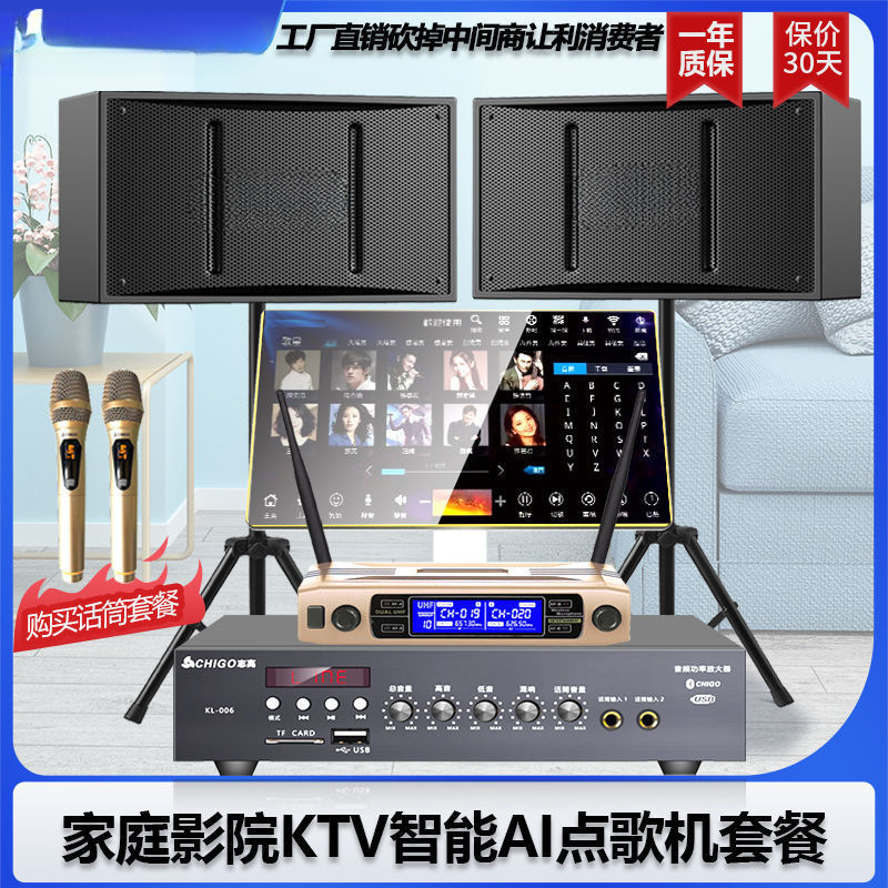 Smart-Level Living Room Ktv Audio Karaoke Voice Set Home Karaoke Machine Audio High Volume