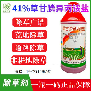 �ݸ�좮����@�}�Ǹ��ػĵ��s���rș��Ʒ�����Ԡ������݄�1ǧ��