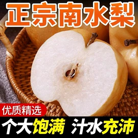 苹果;梨;瓜果类