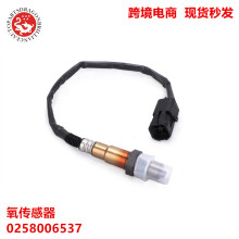 ���������ó�羳������������������������������Ӧ��0258006537