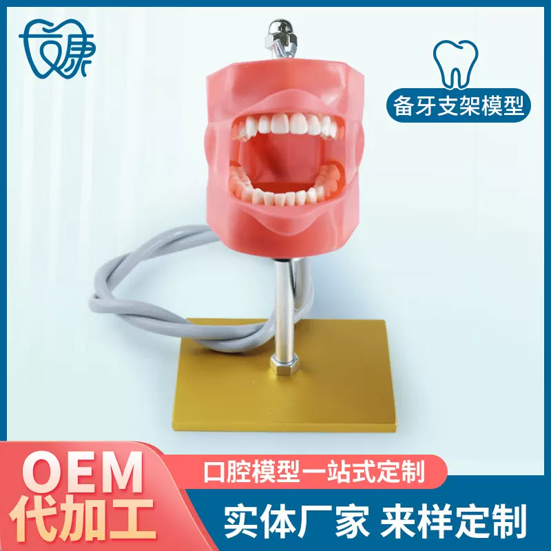 备牙支架口腔牙科材料牙口腔器械离体牙备牙模型根管排龈开髓模型