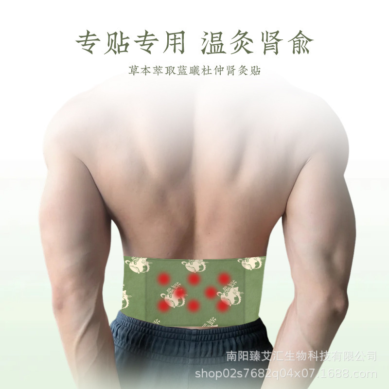 杜仲肾灸贴温肾固本艾草穴位贴前列腺护理腰肌劳损理疗贴穴位敷贴|undefined