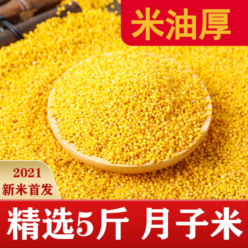 黄小米202年山西油5斤新米农家煮粥粘糯月子宝宝斤代发厂家批发