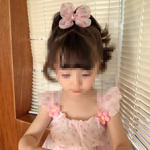 Korean-style girl hair ribbon butterfly knot cute princess hair tie hair clip hair accessory floral rubber bands