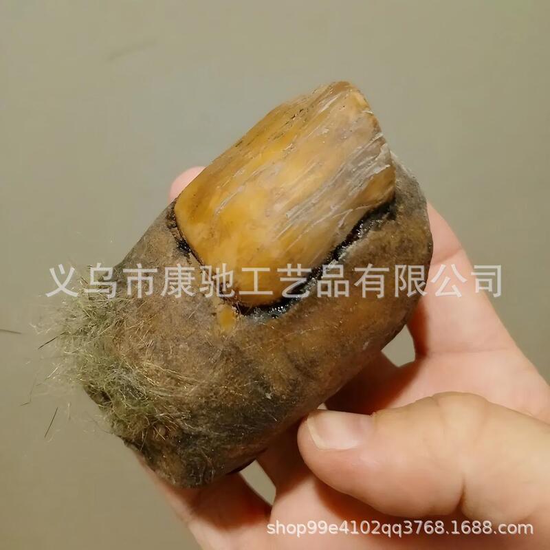 Cross-Border Big Foot Toe Sasquatch Creative Design Realistic Devil Toe Resin Craft Ornament