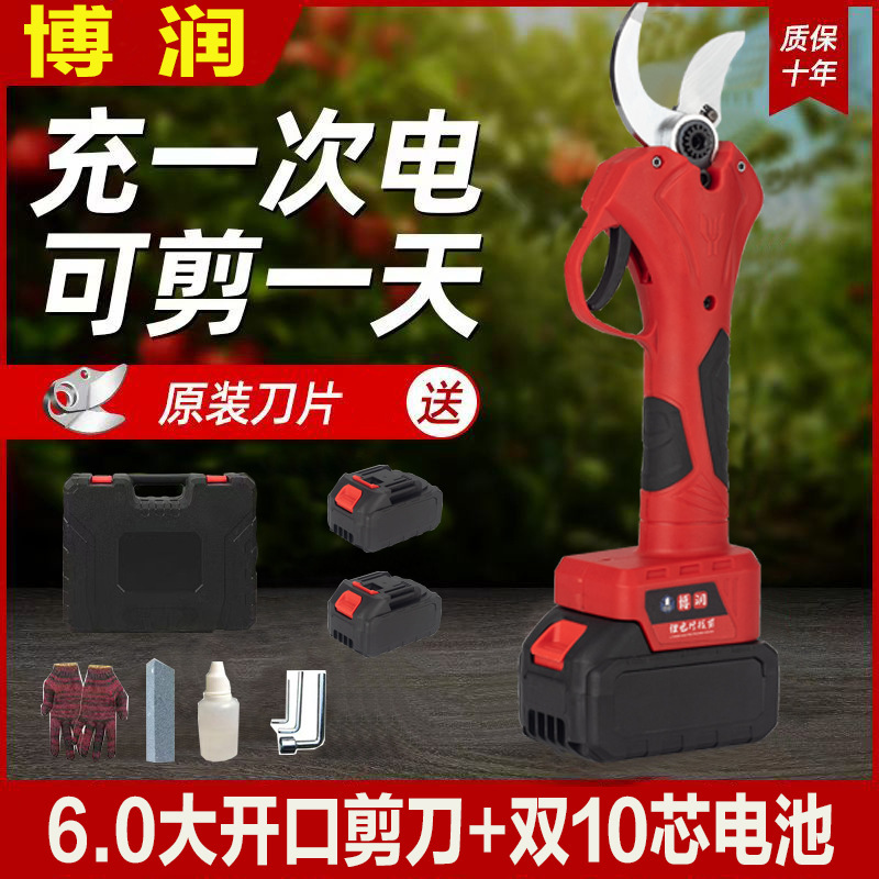 プロの国境を越えた電動剪定鋏、リチウム電池剪定鋏、庭の果樹の果実の枝はさみ、園芸の枝剪定電動工具|undefined