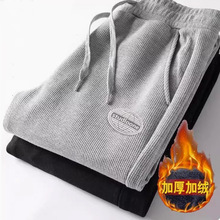 秋冬男士简约百搭华夫格卫裤男青少年休闲运动加绒舒适束脚长裤