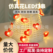 �羳���N���˹�����led����Y�����Y���b��~�z������