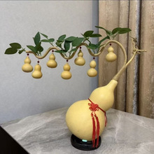 ��Ȼ���J�͏d�k���������b���ؔ�Lˮ�[�����ֹ��������Jһ����ľ