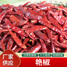 �F؛���l�F���G��ʯ���t5̖���콷���t�͝����ӻ�偵���