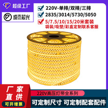 高压灯条220V2835LED柔性软灯带180灯276三排户外防水亮化工程灯