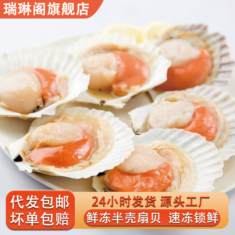 超大虾夷扇贝冷冻半壳夏夷贝蒜蓉粉丝扇贝半成品烧烤食材商用顺丰