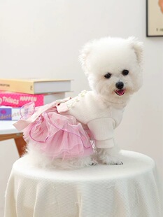 Petcircle ����ʹ�ȹ�ӹ����·�����ȹ����С�����ܹ���ȹС��Ȯ