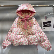 Ůͯ�����¿��޷�2025�n���¿����LС����ͨ�D���������ɕr���޷�