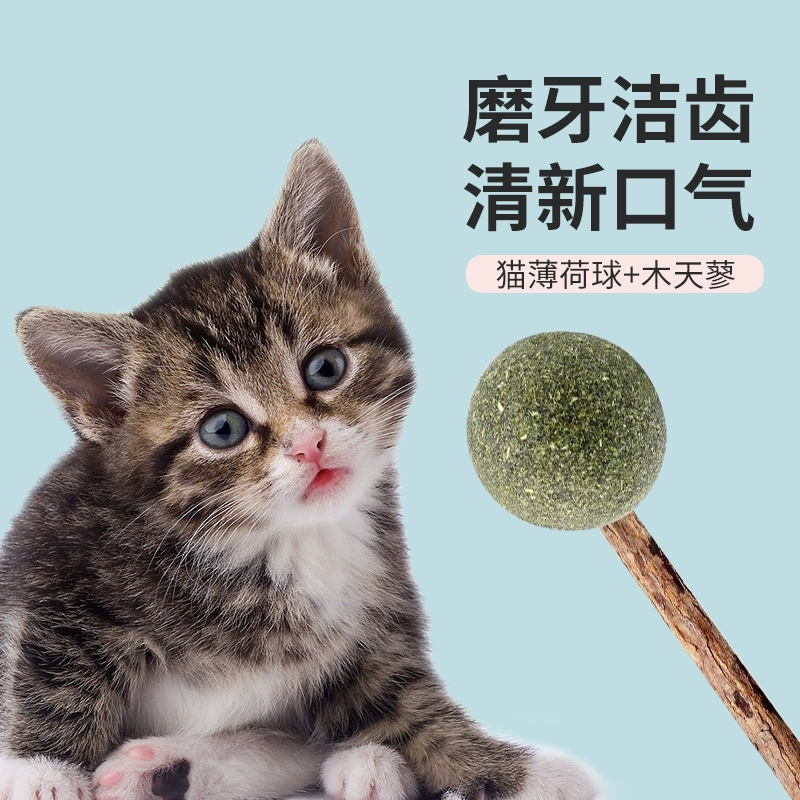 Кошачья мята мяч леденец Polygonum xylazium шлифовальная палочка кошка забавная кошачья палочка чистка зубов кошачьи закуски интерактивная игрушка