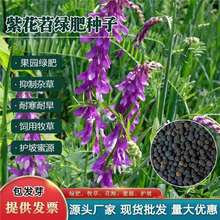 GʷNӷN~ϻҰ㶹@ϻBԴݷNë