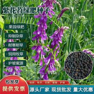 �G�ʷN�����ӷN���~�ϻ���Ұ�㶹���@�ϻ����B����Դ�ݷN��ë����