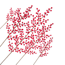 �t���Ӱlؔ�� ��������������F�� ����{����ĭ�t���bS�����l