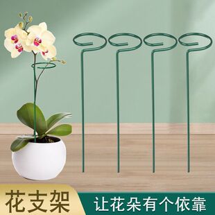 ֲ��֧�ΗU�@ˇ�������ٷ�����֧�ܻ������̶������ӻ����o��