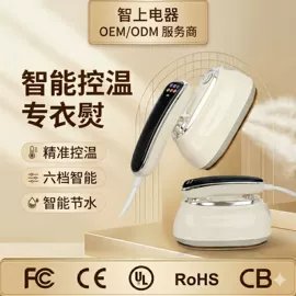 蒸汽清洁机;电熨斗