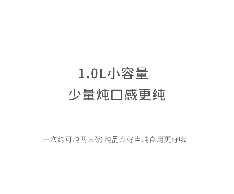 1L电炖盅3_12.jpg