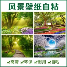 大自然森林风景自粘墙贴纸壁画衣柜房间玻璃门窗户防水装饰防走光