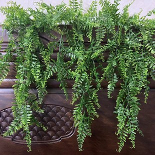 Amazon Simulation Wall Hanging Persian Grass Rattan Artificial Hanging Fern Vine Hanging Green Plant