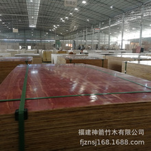 1.8木工板价格建筑工地工程11层木胶合板福建厂家批发整车发货