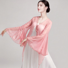 古典舞蹈服身韵纱衣女飘逸仙美练功服中国舞古风舞蹈服演出服成人