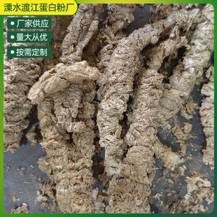 �������uë�����l���݌����Bֳ����������ӄ���ë����ϼ�