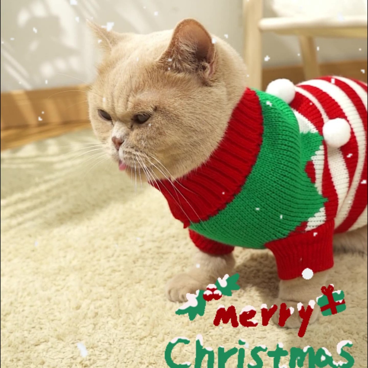 圣诞新款狗狗猫咪带球毛衣保暖针织秋冬节日氛围服装厂家直销