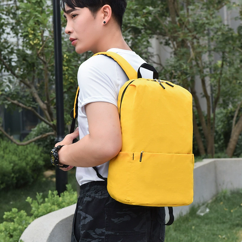 Capacious handheld backpack for training, laptop, business version