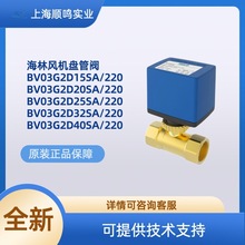 HAILIN����늄��L�C��ͨ�yBV03G2D20SA/220/D25SA/220�ڏ�DN20-40