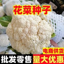 ײ˻Nͺ˷Nɻ˻Ҭ̨ͥˈ@Nֲ߲l