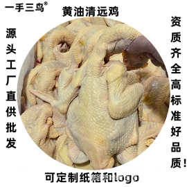 【一手三鸟】供港黄油鸡 黄油清远鸡 清远黄油鸡 土鸡 麻黄鸡