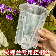 新款透明气柱控根花盆青山盆绿植盆栽石斛蝴蝶兰花月季扦插种植盆