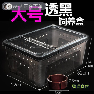 ���I������B�����x�����д���С̖�䗫��С����֩���p�_��Խ�z