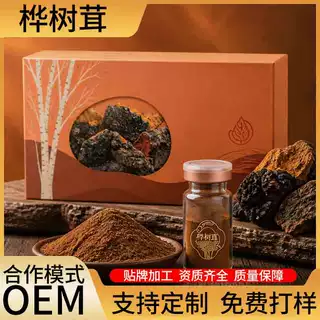 桦树茸超微粉oem贴牌按需定制 桦褐孔菌粉固体饮料代加工生产厂家