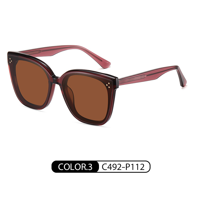 En stock gafas de sol de placa TikTok transmisión en vivo mismo GM moda gafas polarizadas PS6604 gafas de sol a prueba de UV al por mayor